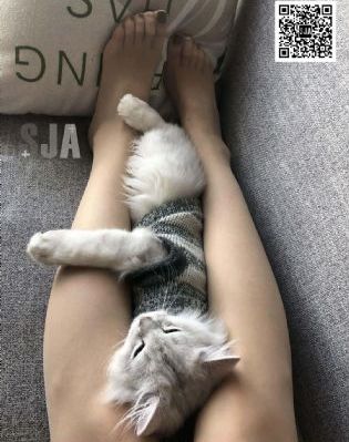 亚洲熟妇AV一区二区在线四虎_高清日本电影免费